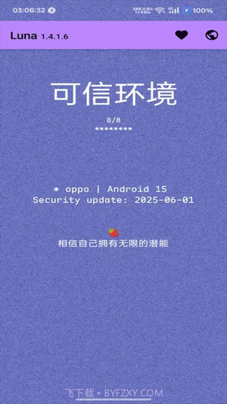 Luna环境检测工具自定义版截图3