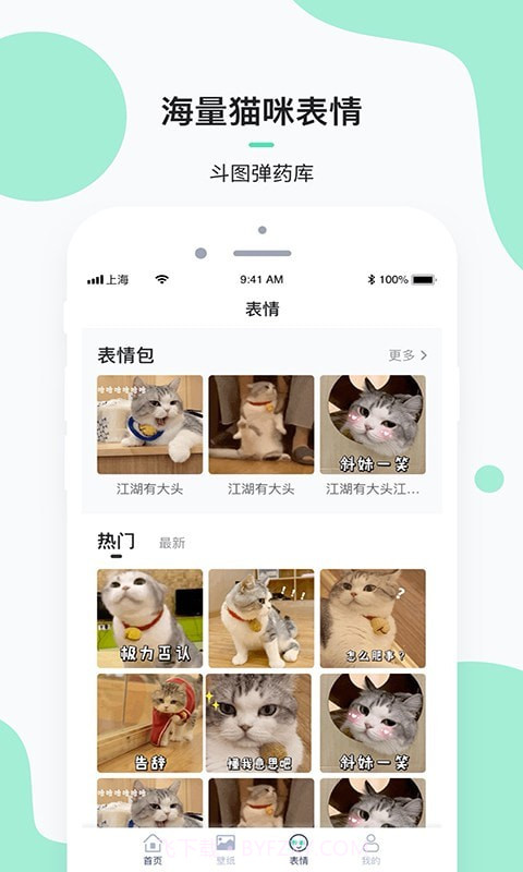 每日一猫截图3