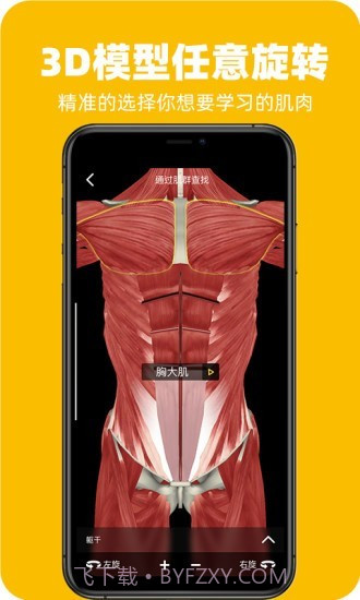 3Dfit(健身运动)截图4