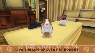 养豚鼠进化模拟器截图1 养豚鼠进化模拟器截图1