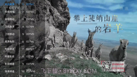 新喵影视老版本截图2