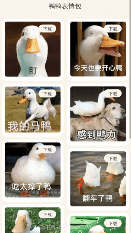 冲鸭流量截图2 冲鸭流量截图2