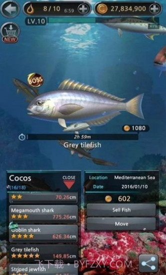 钓鱼胡克中文截图3 钓鱼胡克中文截图3