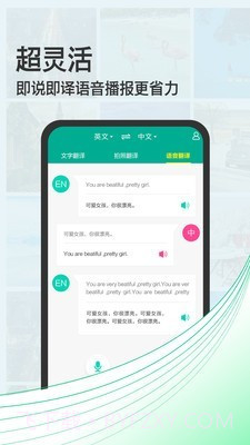 拍照翻译宝截图3