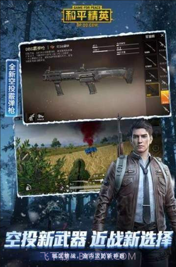 和平精英智障框架截图2 和平精英智障框架截图2