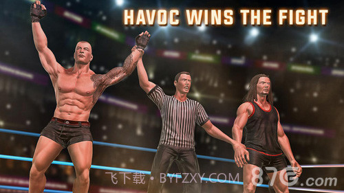 摔跤战士截图5 摔跤战士截图5