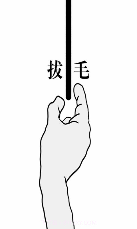 拔一根毛截图4