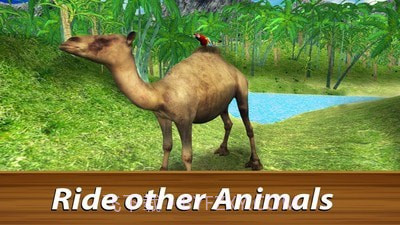 野生鹦鹉生存丛林鸟模拟器截图2 野生鹦鹉生存丛林鸟模拟器截图2