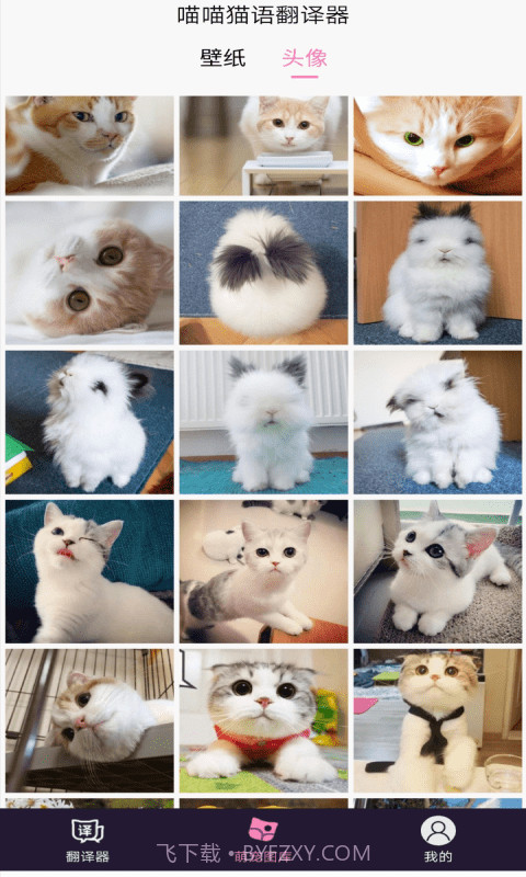 喵喵猫语翻译器截图3 喵喵猫语翻译器截图3