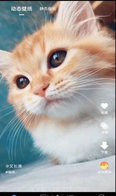 快滑壁纸秀秀截图3 快滑壁纸秀秀截图3