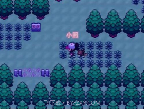 口袋妖怪零维e界截图2 口袋妖怪零维e界截图2