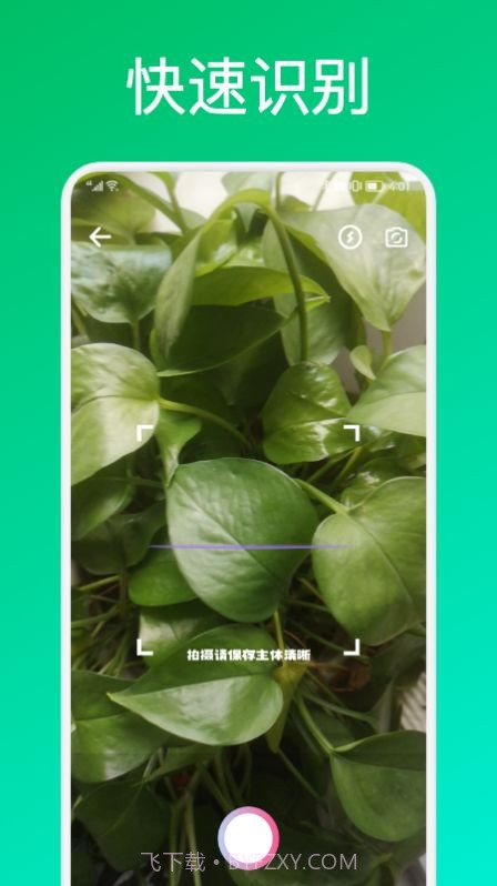 识花君植物识别截图1 识花君植物识别截图1