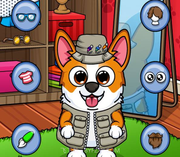 宠物柯基截图3 宠物柯基截图3