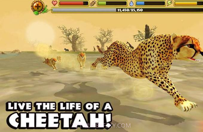 猎豹模拟截图2 猎豹模拟截图2