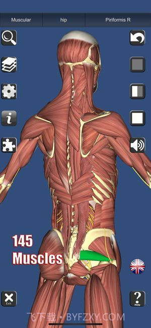 3D解剖截图5