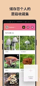 Picture Mushroom蘑菇识别扫一扫截图5