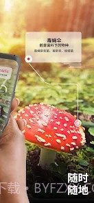 Picture Mushroom蘑菇识别扫一扫截图4