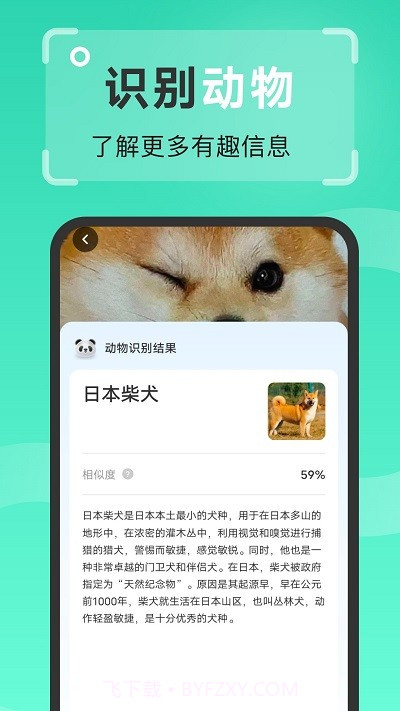 强效扫描王截图4