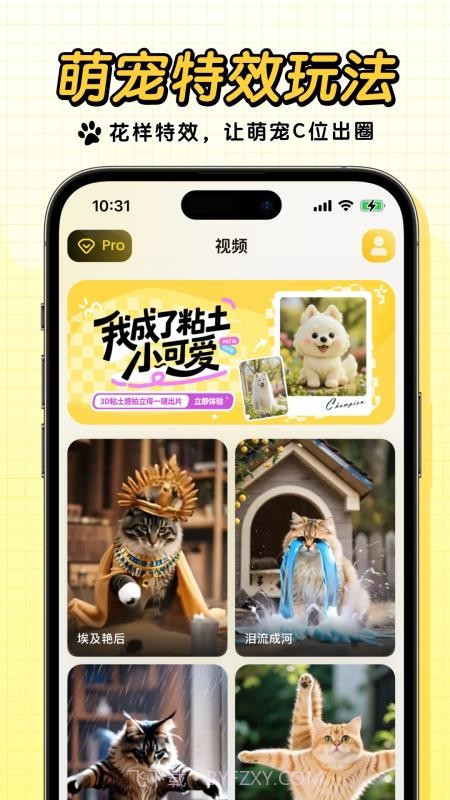 宠玩官方版截图1