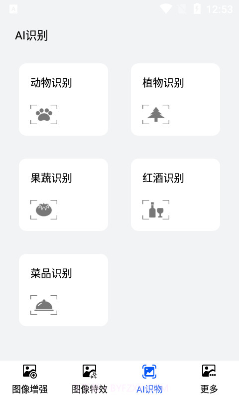 枫叶图片识别截图1