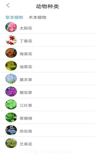 植物品鉴截图1 植物品鉴截图1