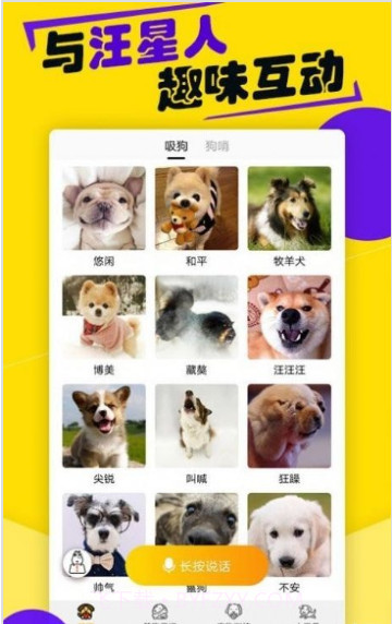 狗语交流翻译器截图2