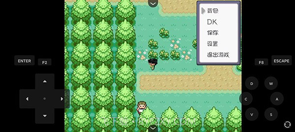 口袋妖怪燃之智截图1