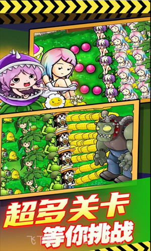 萌娘植物反击战截图1 萌娘植物反击战截图1