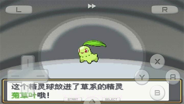 口袋妖怪金银截图1