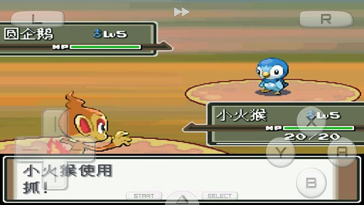 口袋妖怪：白金493 汉化版（悟饭）截图5