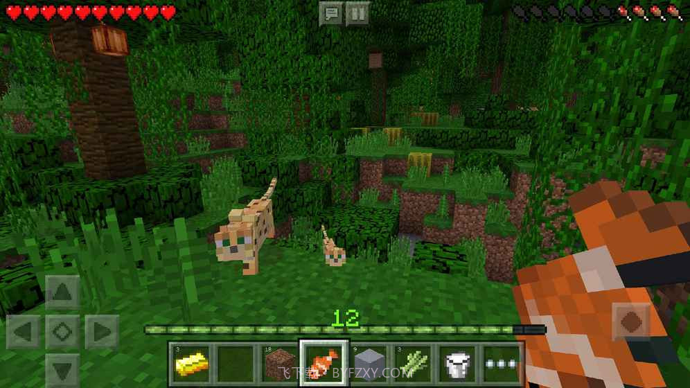 我的世界1.11.0.10基岩版截图2 我的世界1.11.0.10基岩版截图2